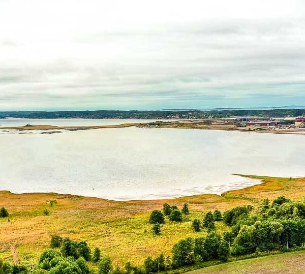 Gansrød naturreservat