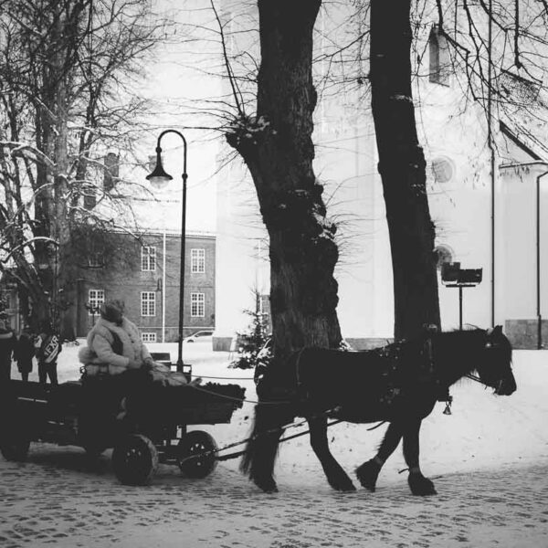 Med hest og slede i gamlebyen