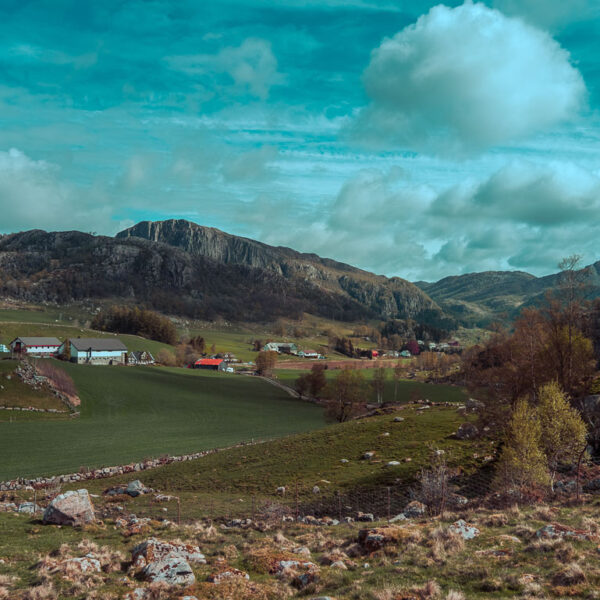 Landbruk på Jæren