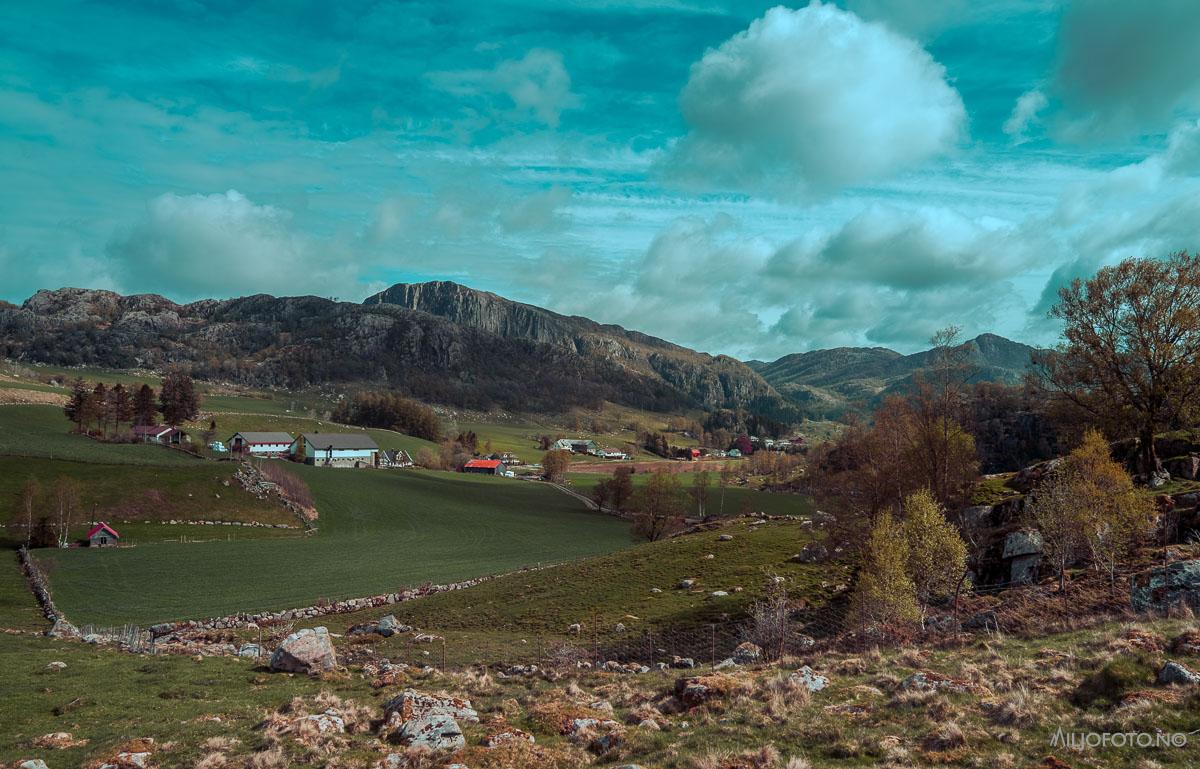 Landbruk på Jæren