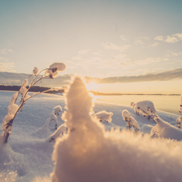 Snø og sol