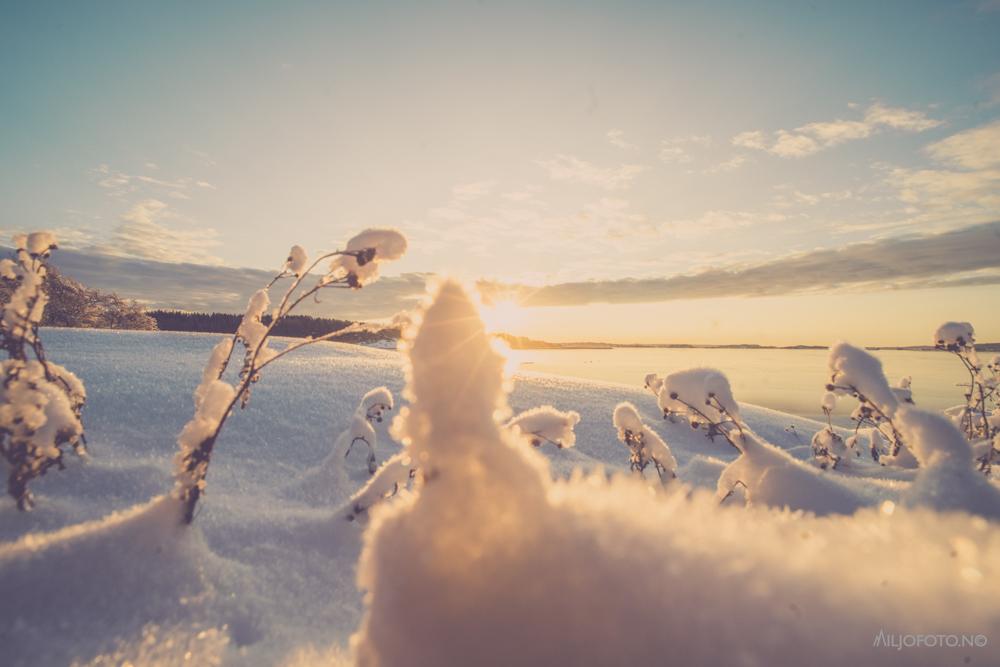 Snø og sol