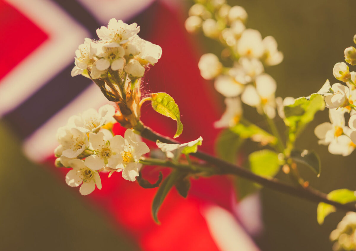 Blomst og norsk flagg