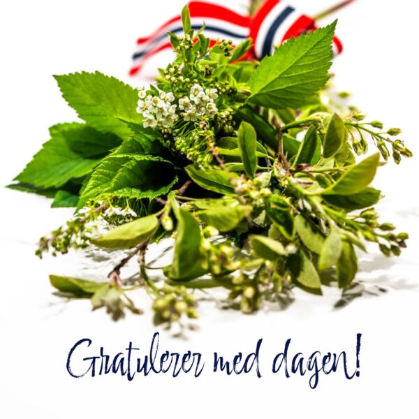 17.mai - Gratulerer