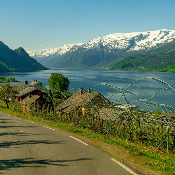 Hardanger (14)