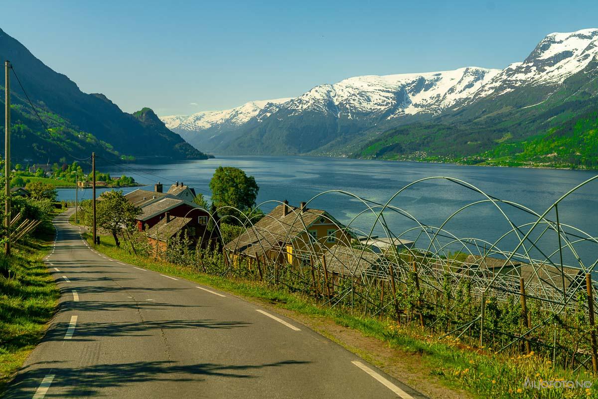 Hardanger (14)