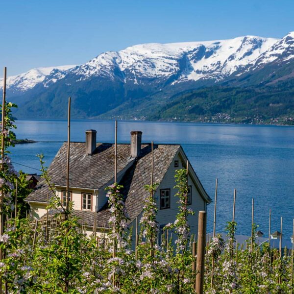 Hardanger (18)