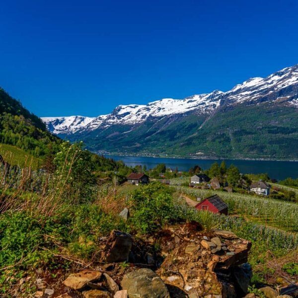 Hardanger (20)