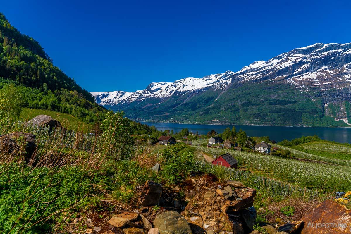 Hardanger (20)