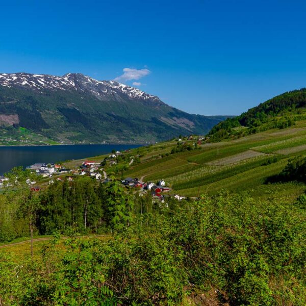 Hardanger (21)