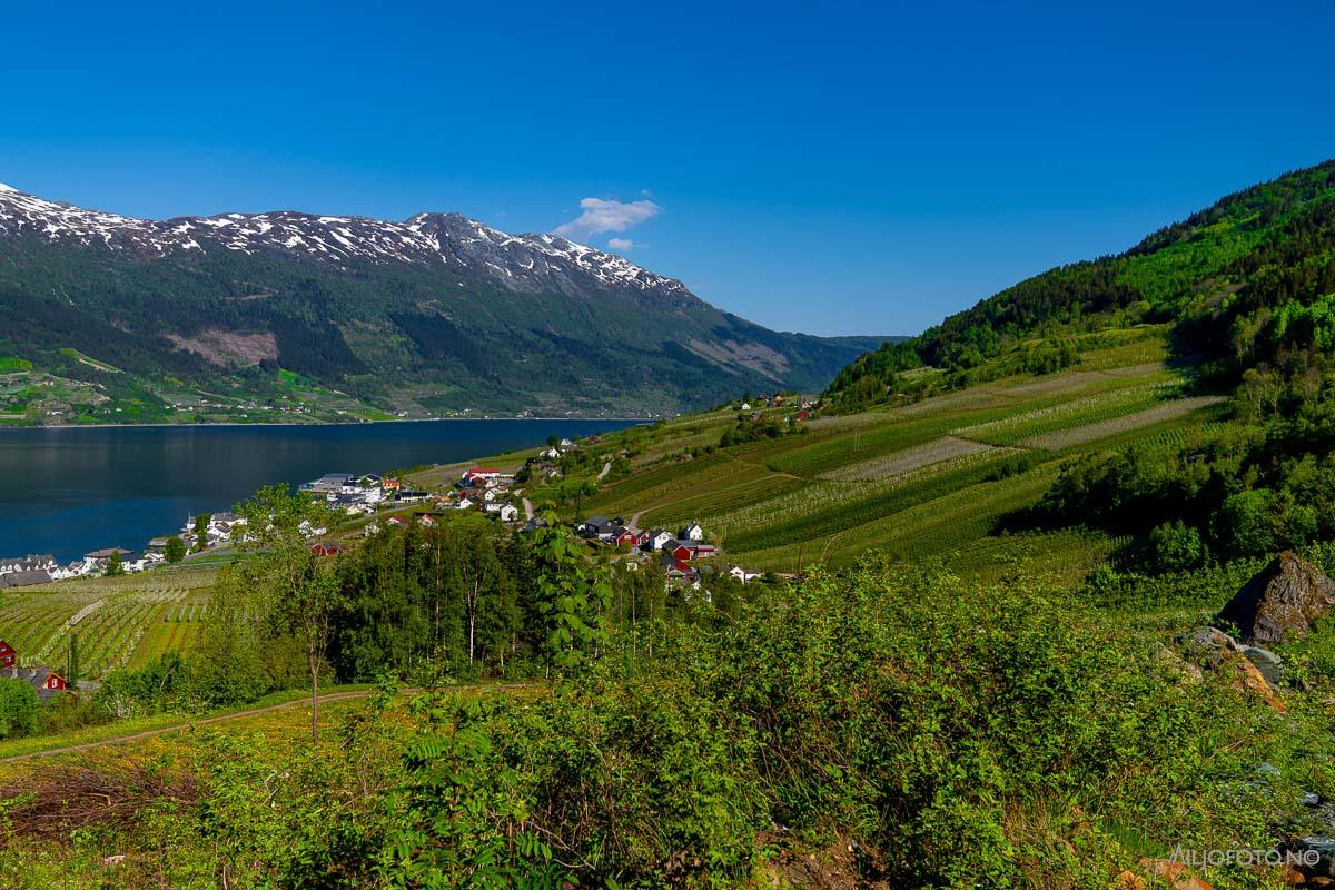 Hardanger (21)