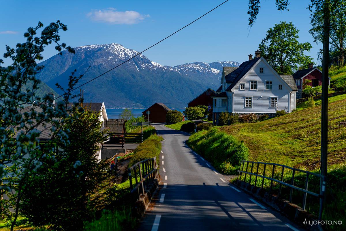 Hardanger (9)