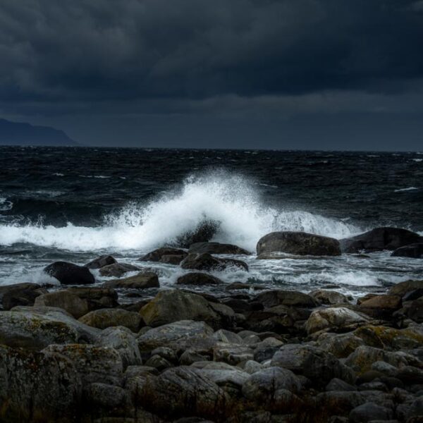 Sjøsprøyt - Natur