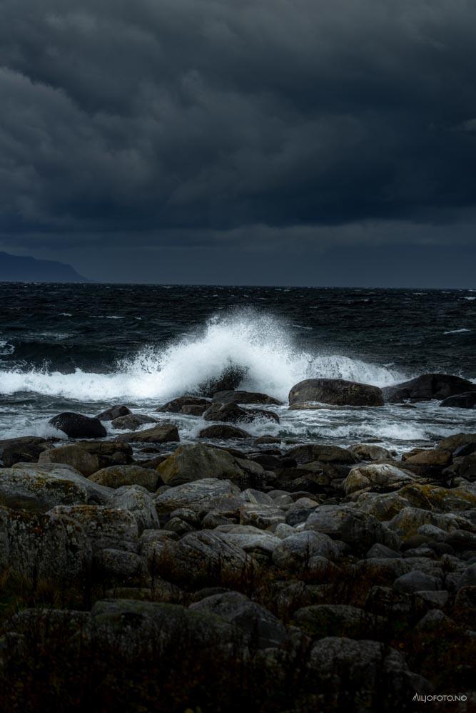 Sjøsprøyt - Natur