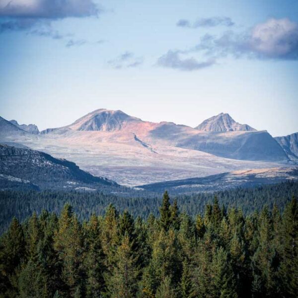 Rondane Nasjonalpark - Natur