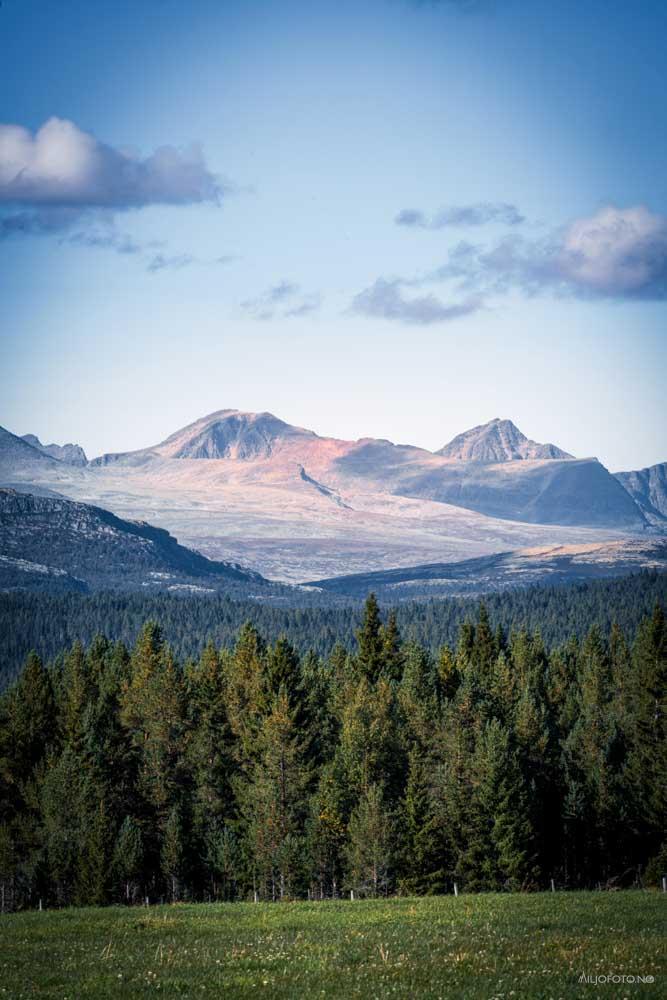 Rondane Nasjonalpark - Natur