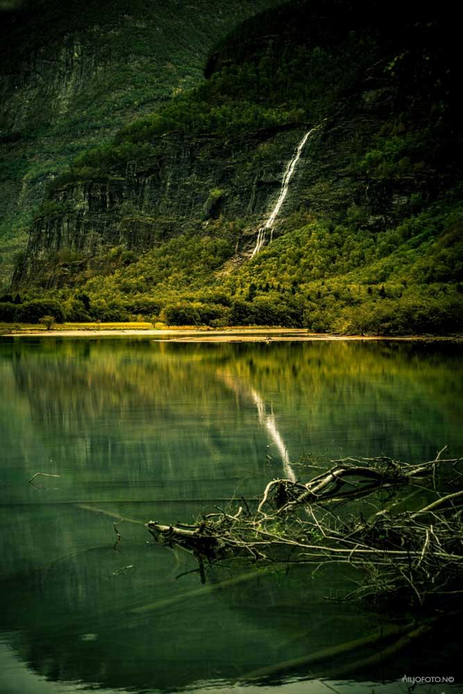 Klartjern - Natur