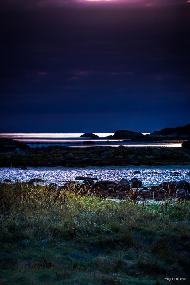 Blå time - Natur