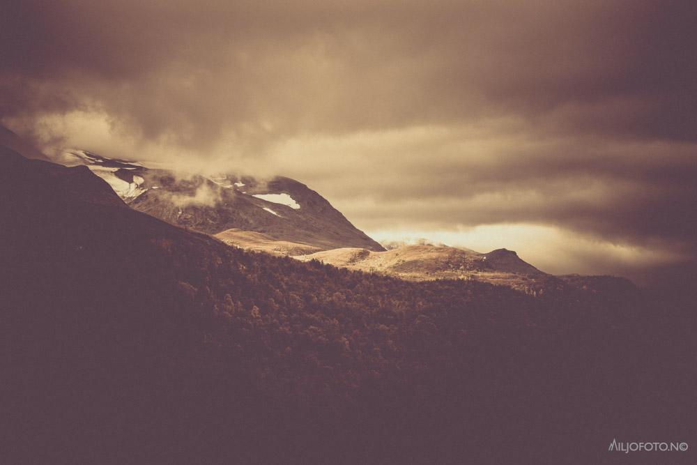 Fjellheimen - Natur