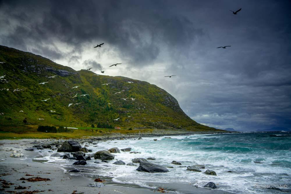 Kystlandskap - Natur