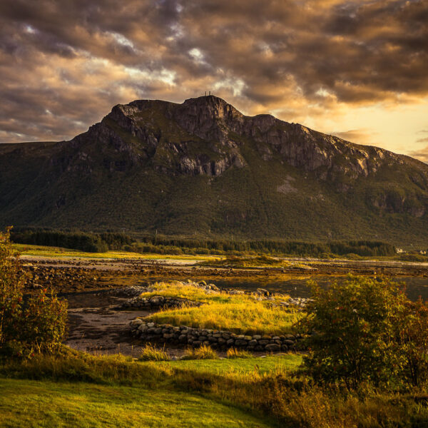 Landskap med fjell