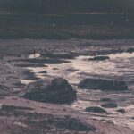 Strand - Nartur
