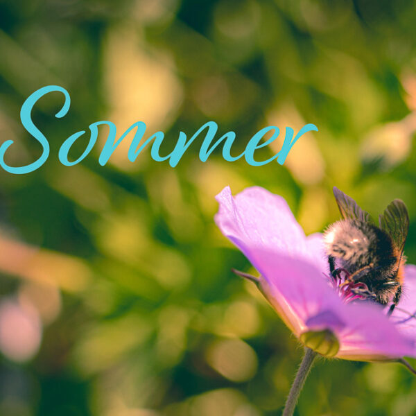 Sommer humle