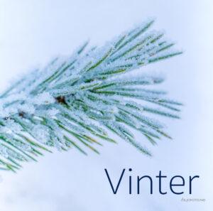 Vinter