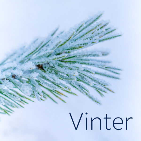 Vinter