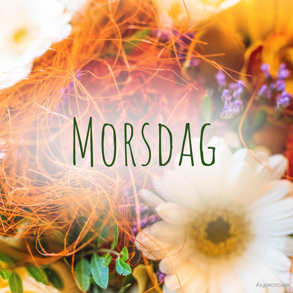 Morsdag