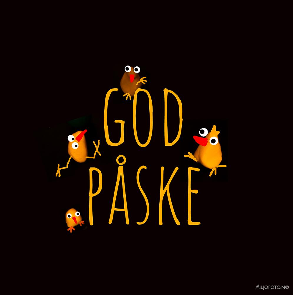 God påske - Påske kyllinger