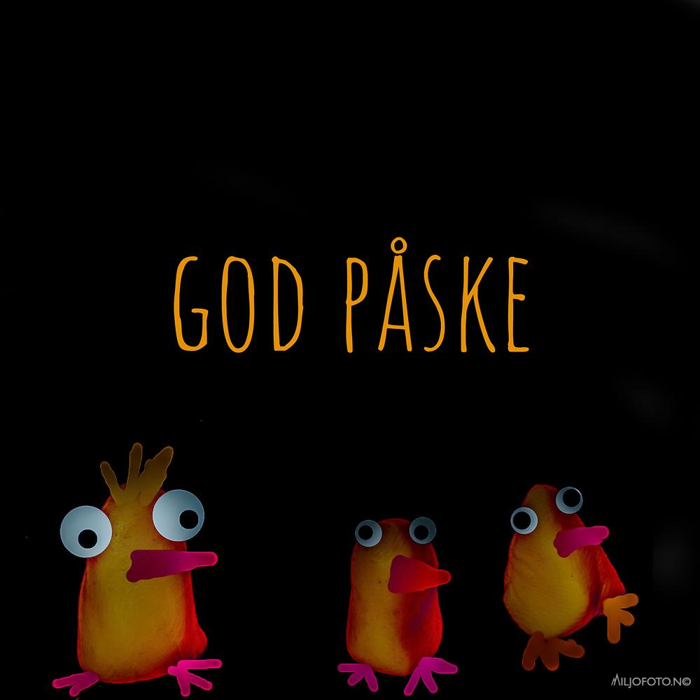 Påske kylling - God påske