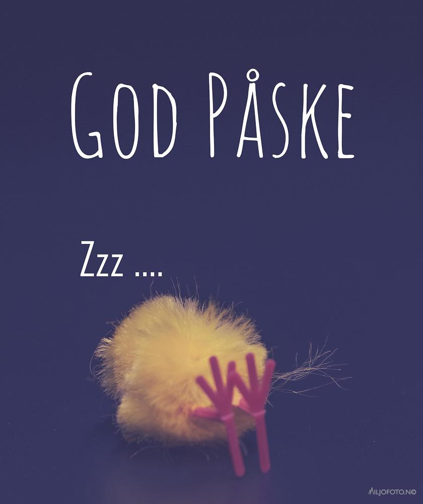 Zzz - Påske