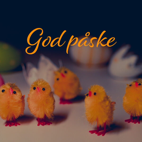 God påske - kyllinger og egg