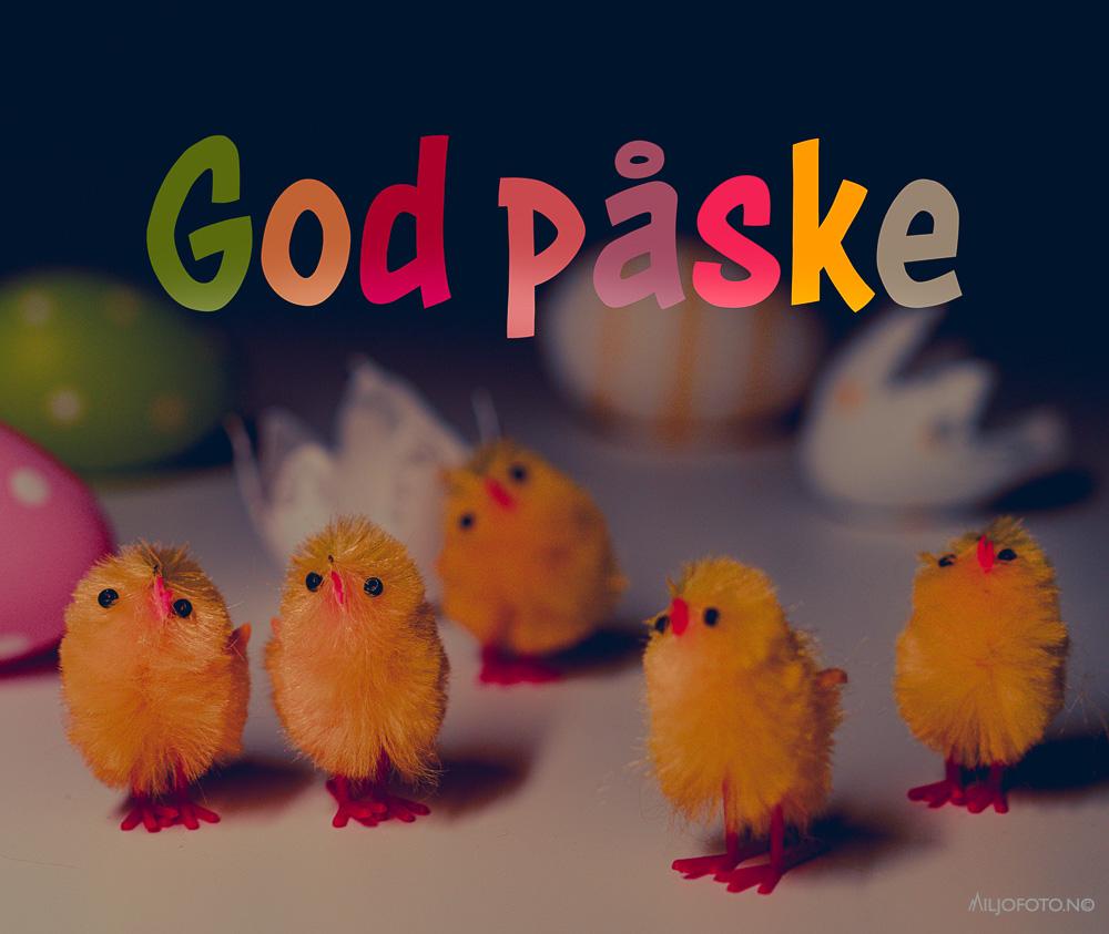 God påske - Fargerik